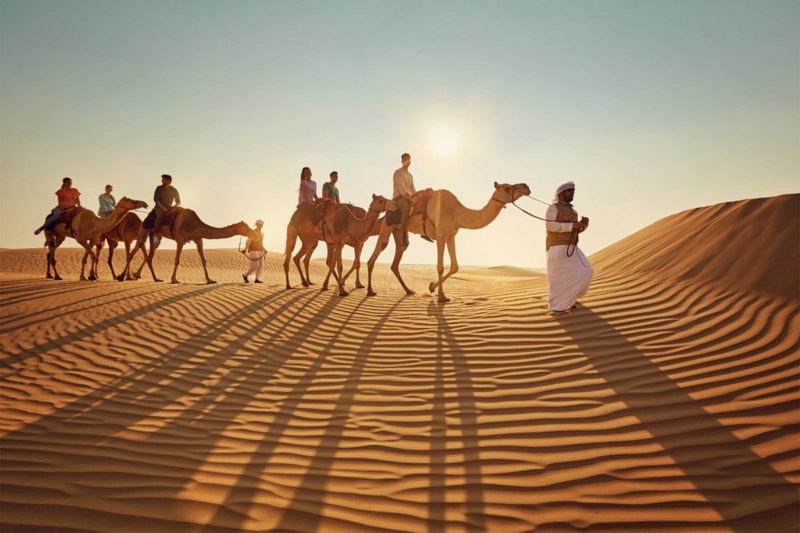 Camel Trekking in Abu Dhabi