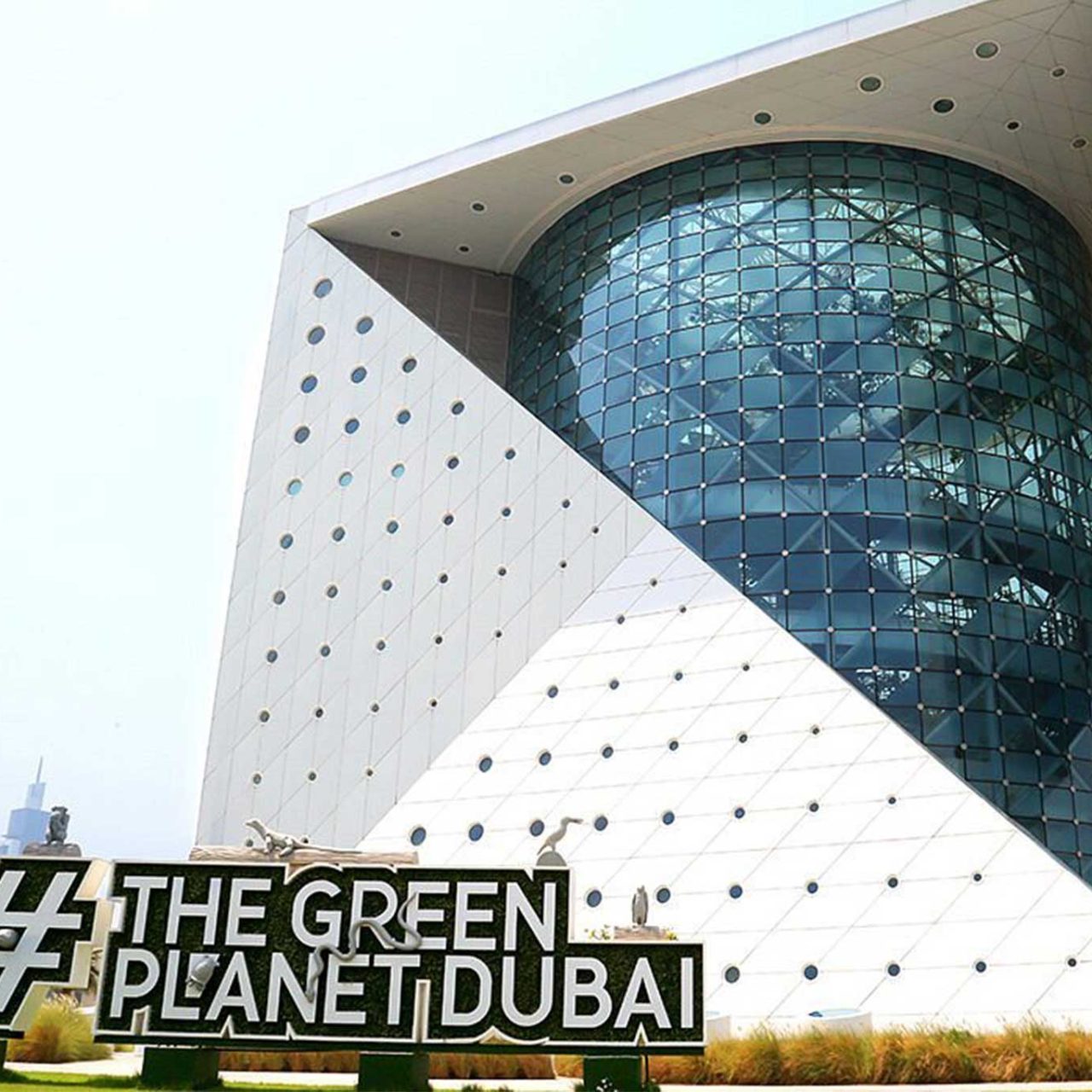 Green planet & Kidzania combo