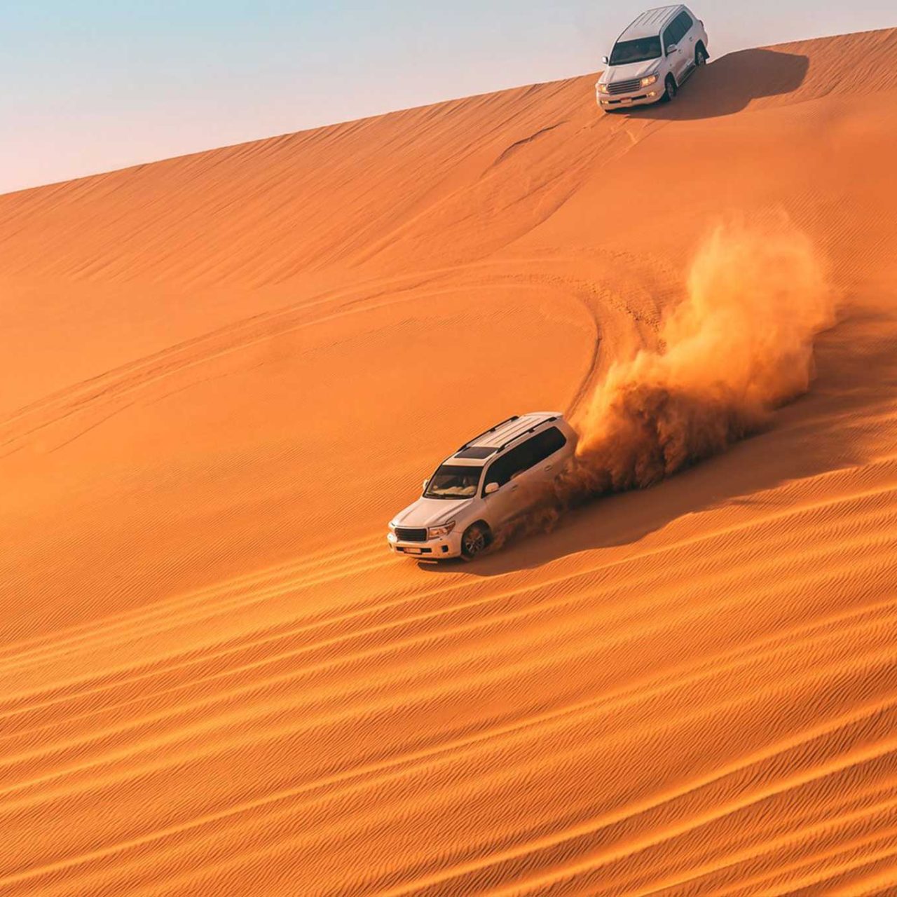 Premium desert safari