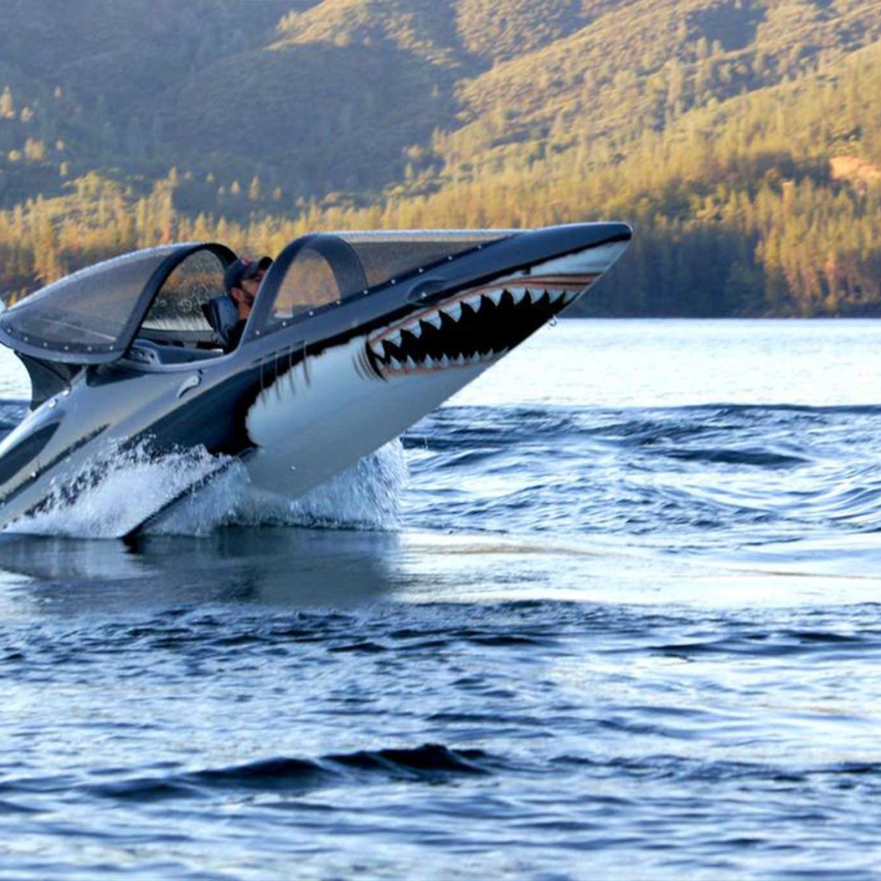 Seabreacher in Dubai