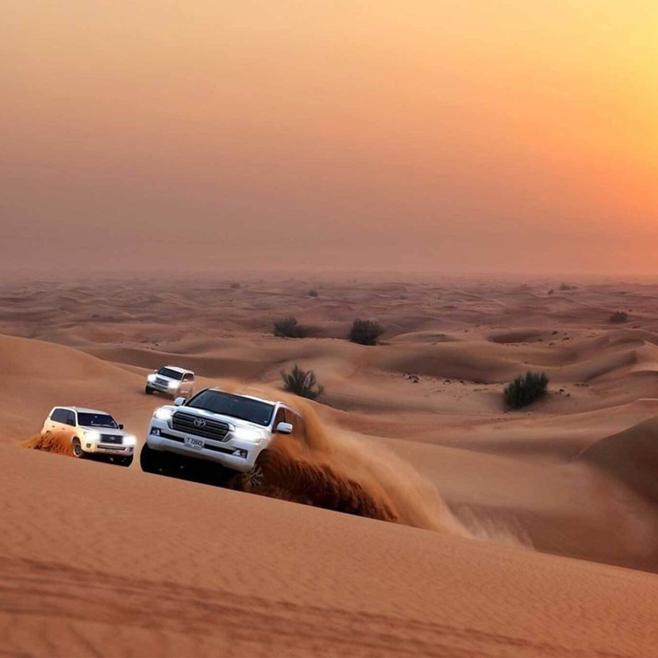 Sunrise safari Dubai