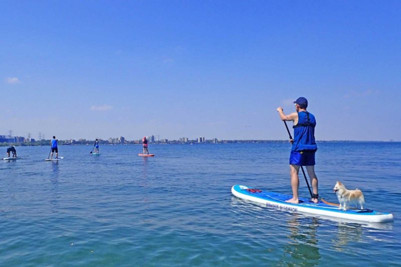 Stand Up Paddle