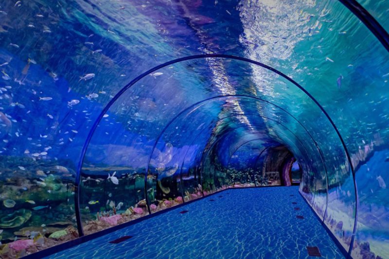 The National Aquarium Abu Dhabi