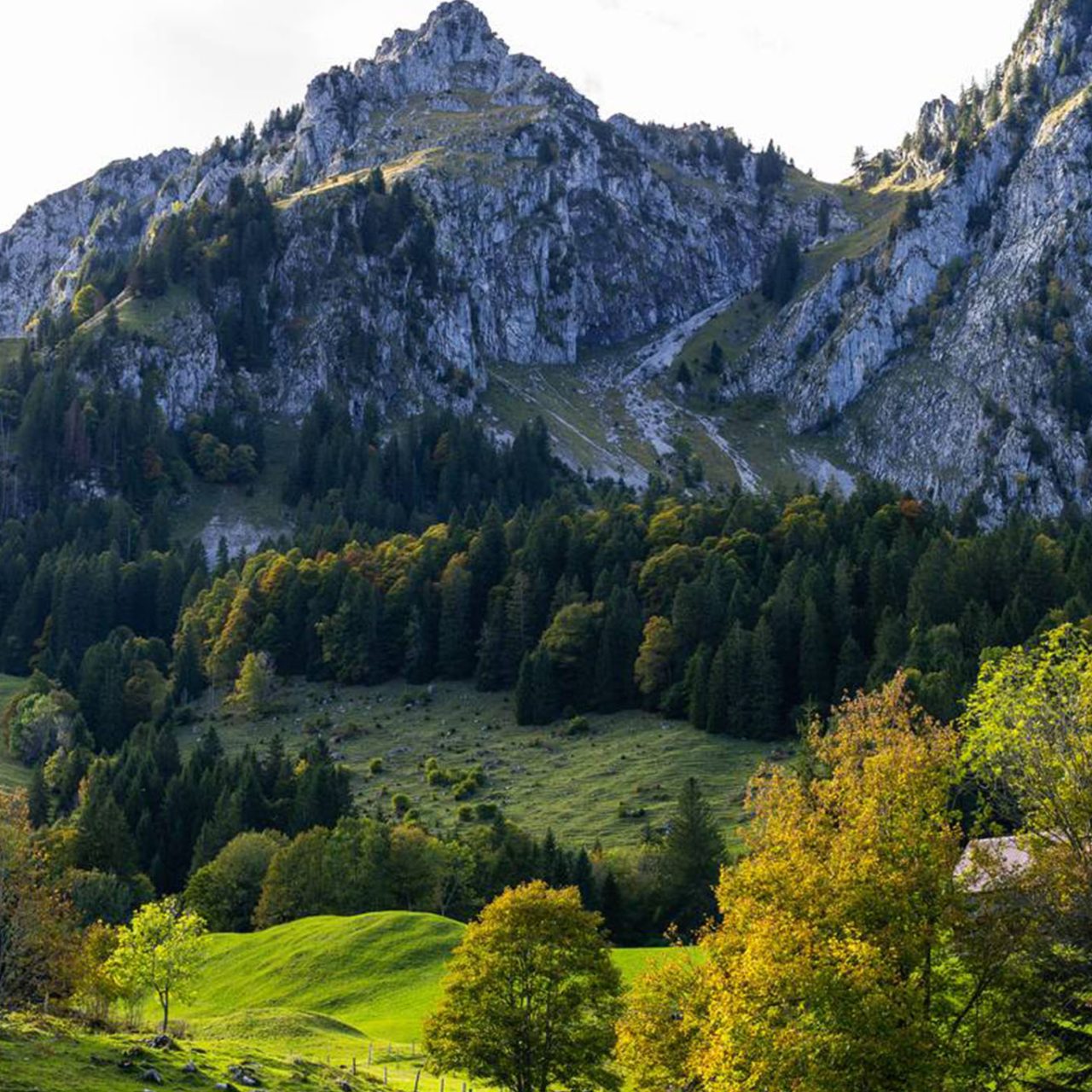 European Highlights without Disney