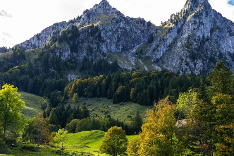 European Highlights without Disney