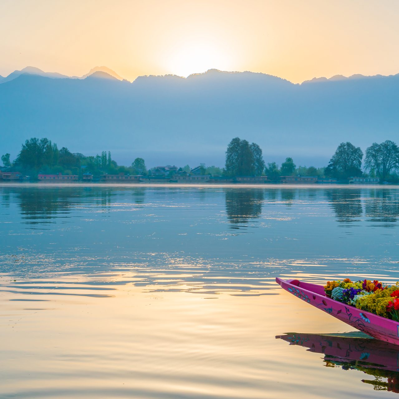 Srinagar / Pahalgam / Gulmarg