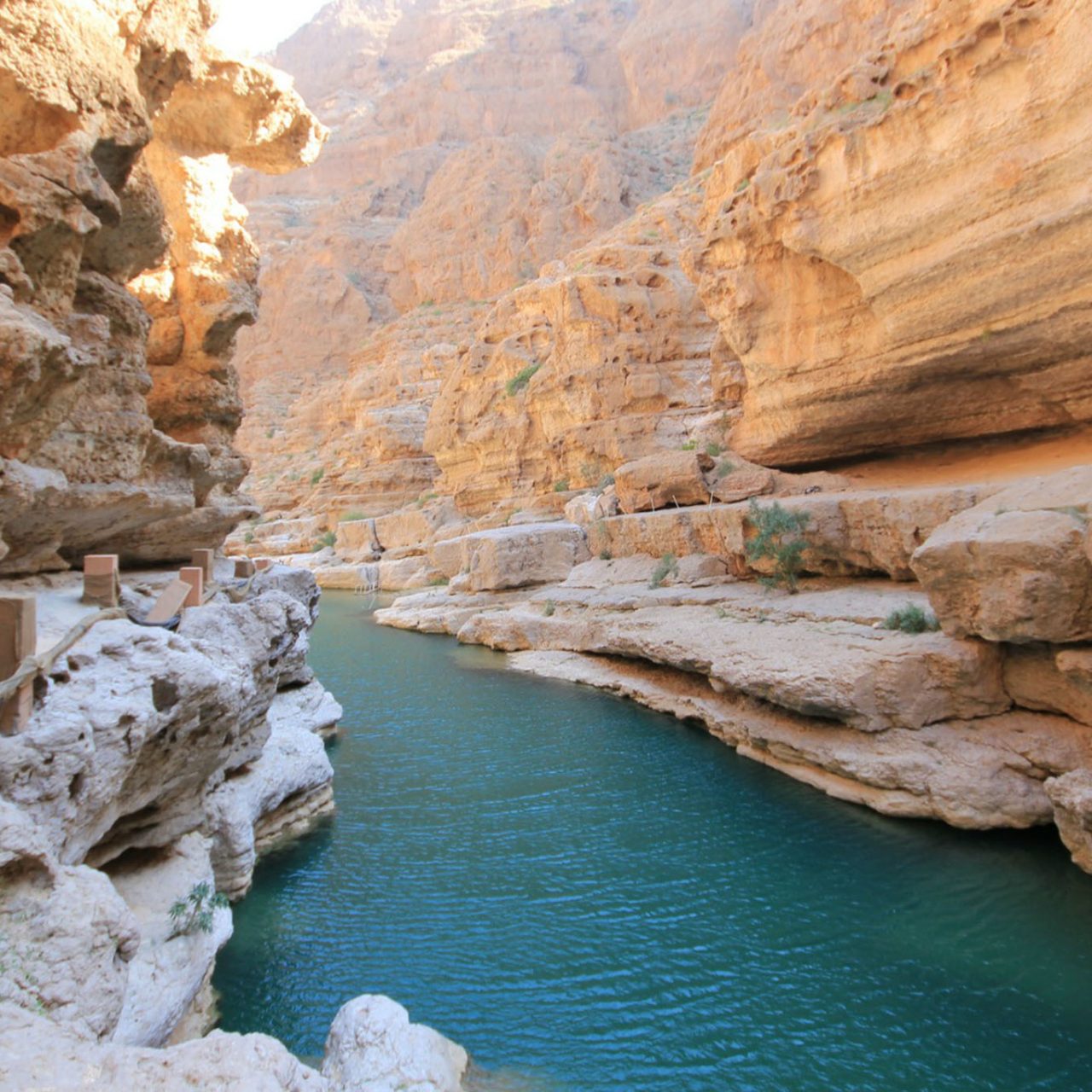 Wadi Shab & coastal
