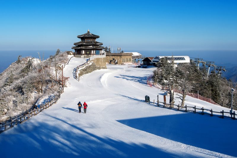 Best of Nepal Tour (10 Days)