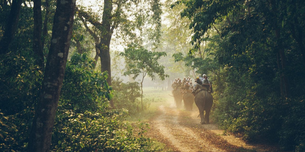 Nepal Wildlife Tour