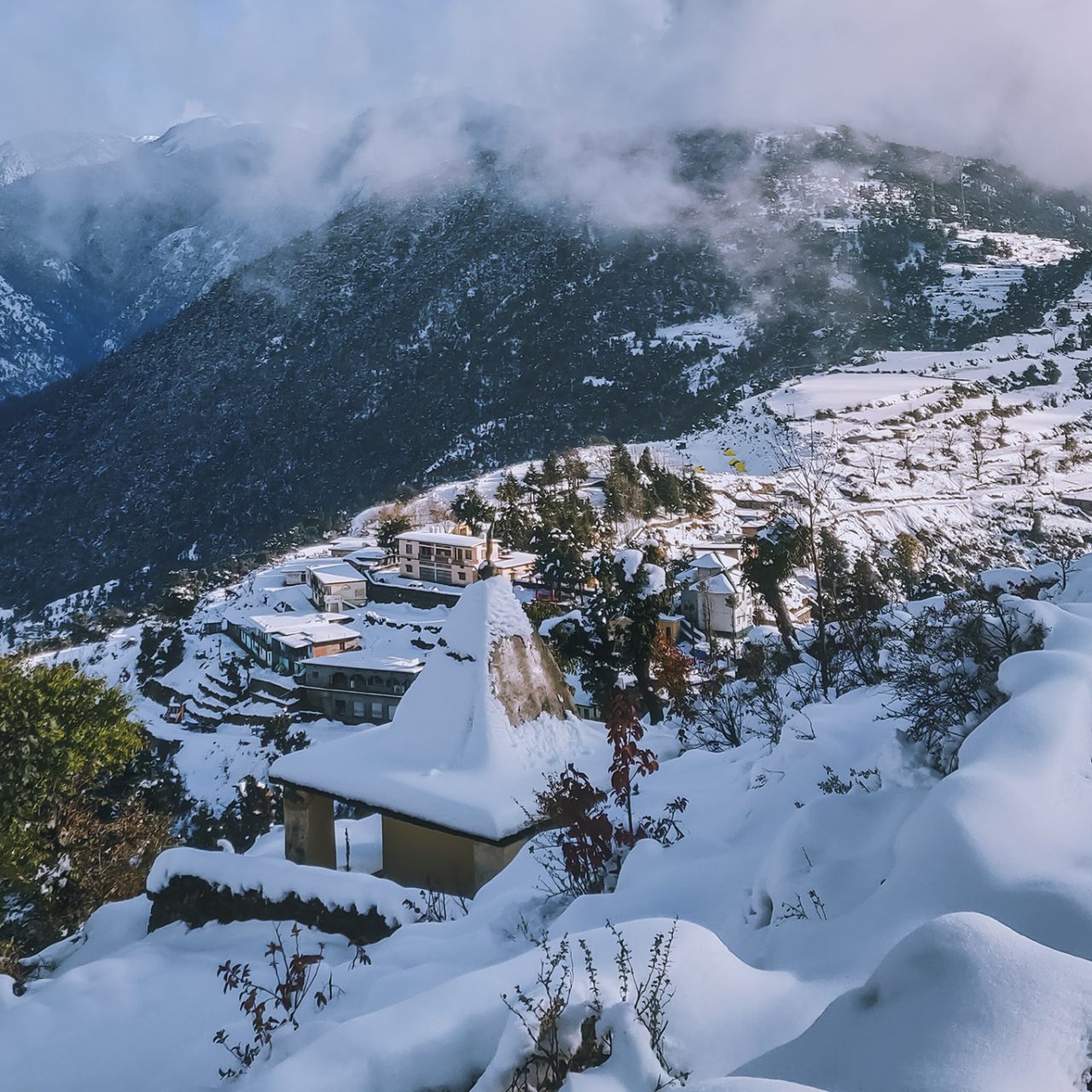 Delhi / Shimla / Manali / Chandigarh