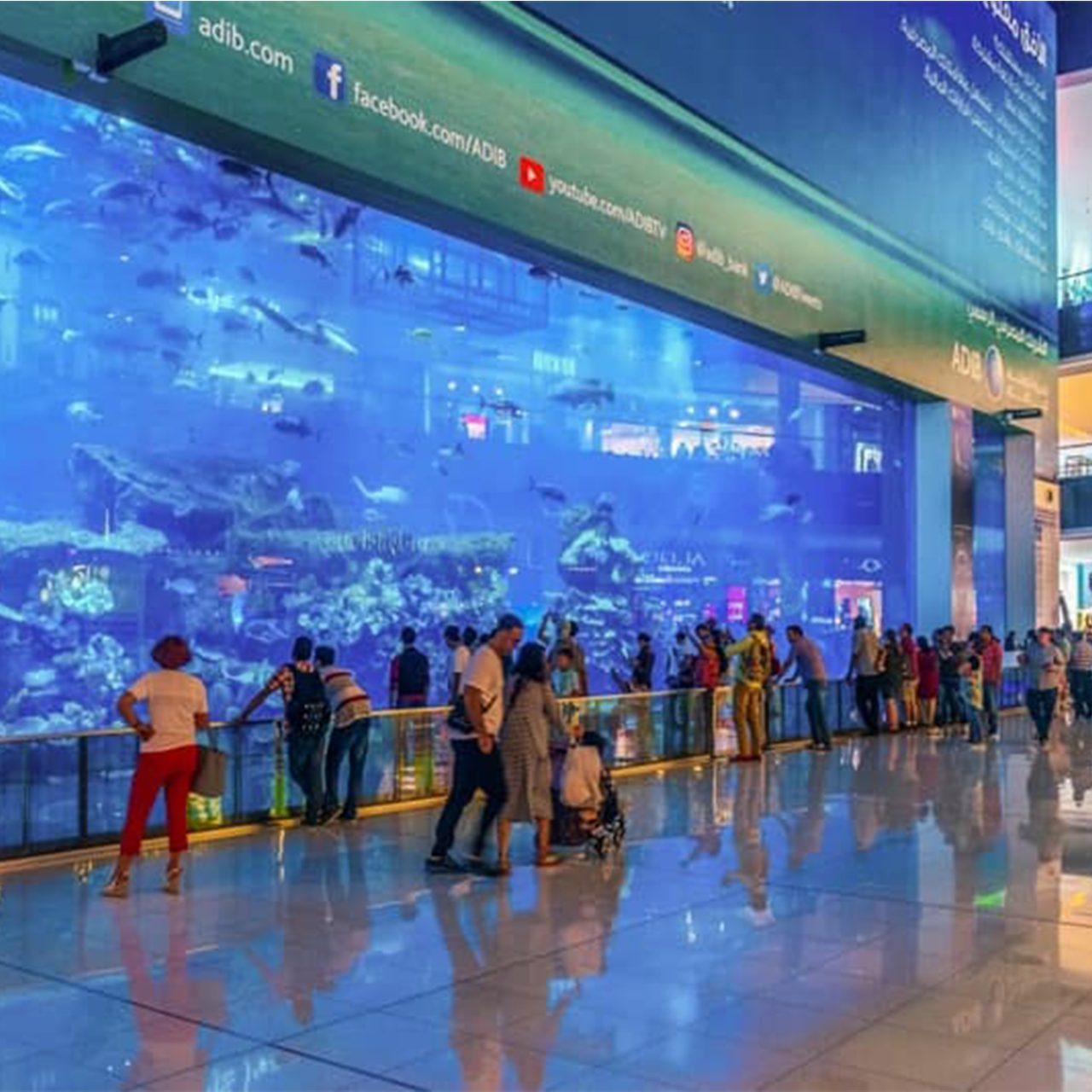 Dubai Mall Aquarium