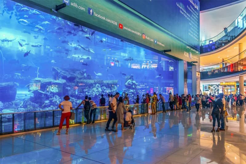Dubai Mall Aquarium