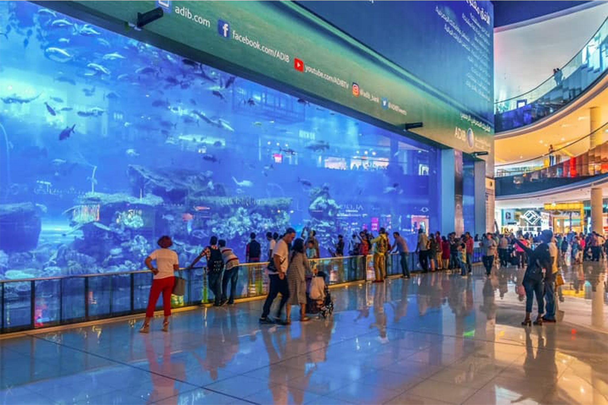 dubai mall aquarium tours